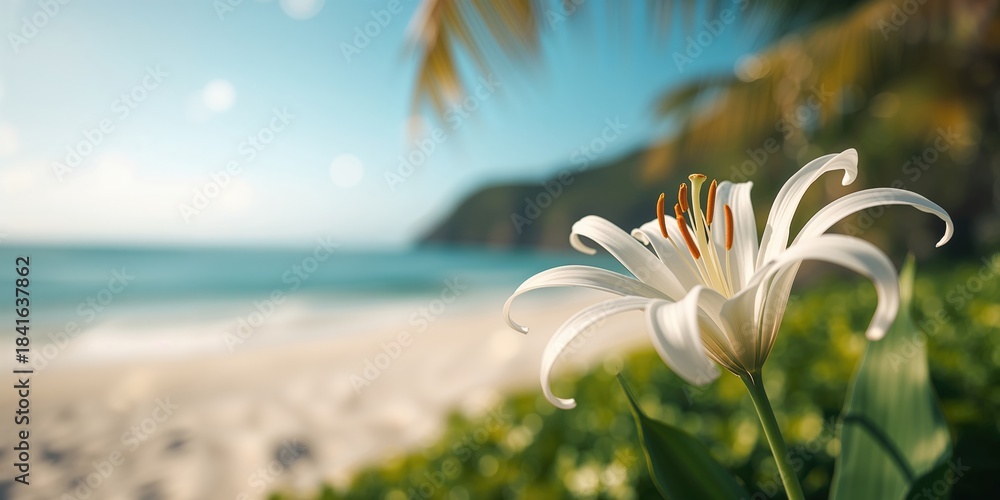 Fototapeta premium Hymenocallis littoralis growing along shoreline, showcasing resilient coastal flora with elongated white blossoms, ideal for tropical plant displays