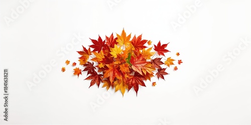 Maple leaves isolated on wh...