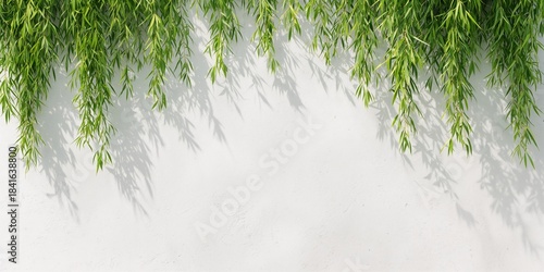 Green willow leaves against...