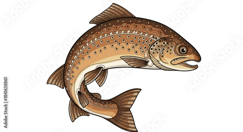Detailed illustration of a brown trout swimming gracefully in clear waters underwater