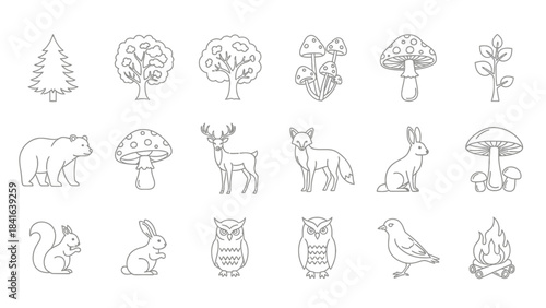Minimalist woodland animal and flora line art, ideal for coloring books and nature themed graphics