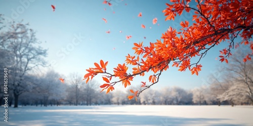 Fototapeta Naklejka Na Ścianę i Meble -  Vivid winter branch with orange leaves, highlighting seasonal transition