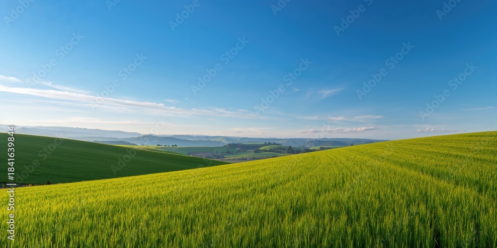 Naklejka premium Landscape with lush green fields under a clear blue sky, ideal as a background for text or layout, Earth Day