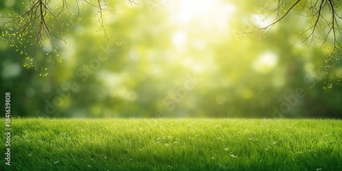 Natural spring landscape wi...