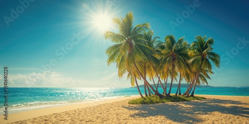 Coastal scene featuring coc...