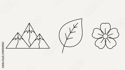 Minimalist nature icons: Mountains, leaf, and flower in a simple line art style