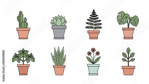 Collection of potted plants in minimalist vector line art style showcasing different species  for