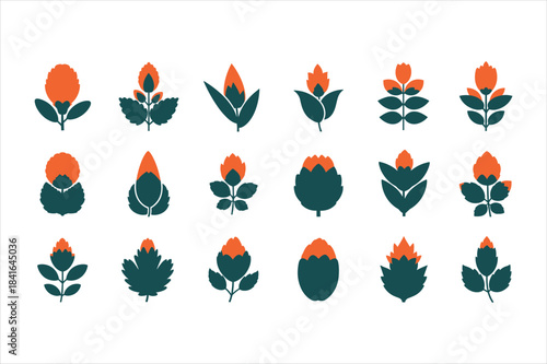 Collection of orange flowers and green leaves on white background