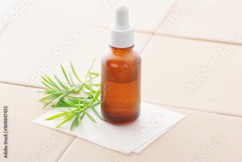 Tea tree essential oil or extract  on clay background with fresh leaves nearby, copy space, natural medicine,  natural hair and skin treatment, aromatherapy concept