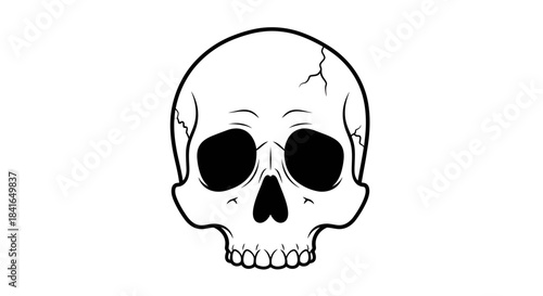 Stylized cranial illustration portraying mortality and mystery, on a stark white backdrop,