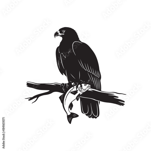 Majestic eagle perched on a branch holding a freshly caught fish, a powerful hunter