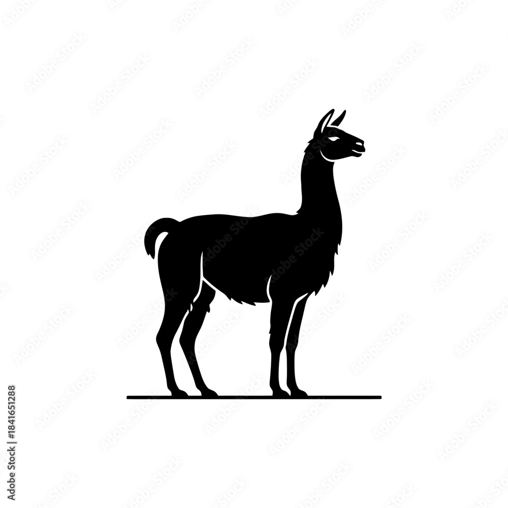 Obraz premium Llama silhouette standing profile minimal farm vector illustration