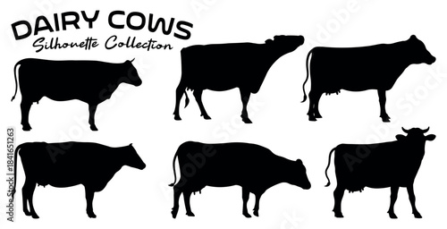Dairy cow silhouette collection set. Farm cattle vector pack
