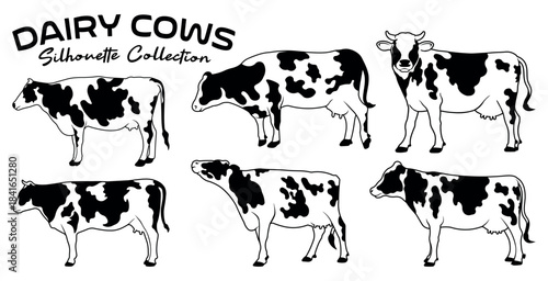 Dairy cows silhouette collection with Holstein patterns. Farm cattle vector set