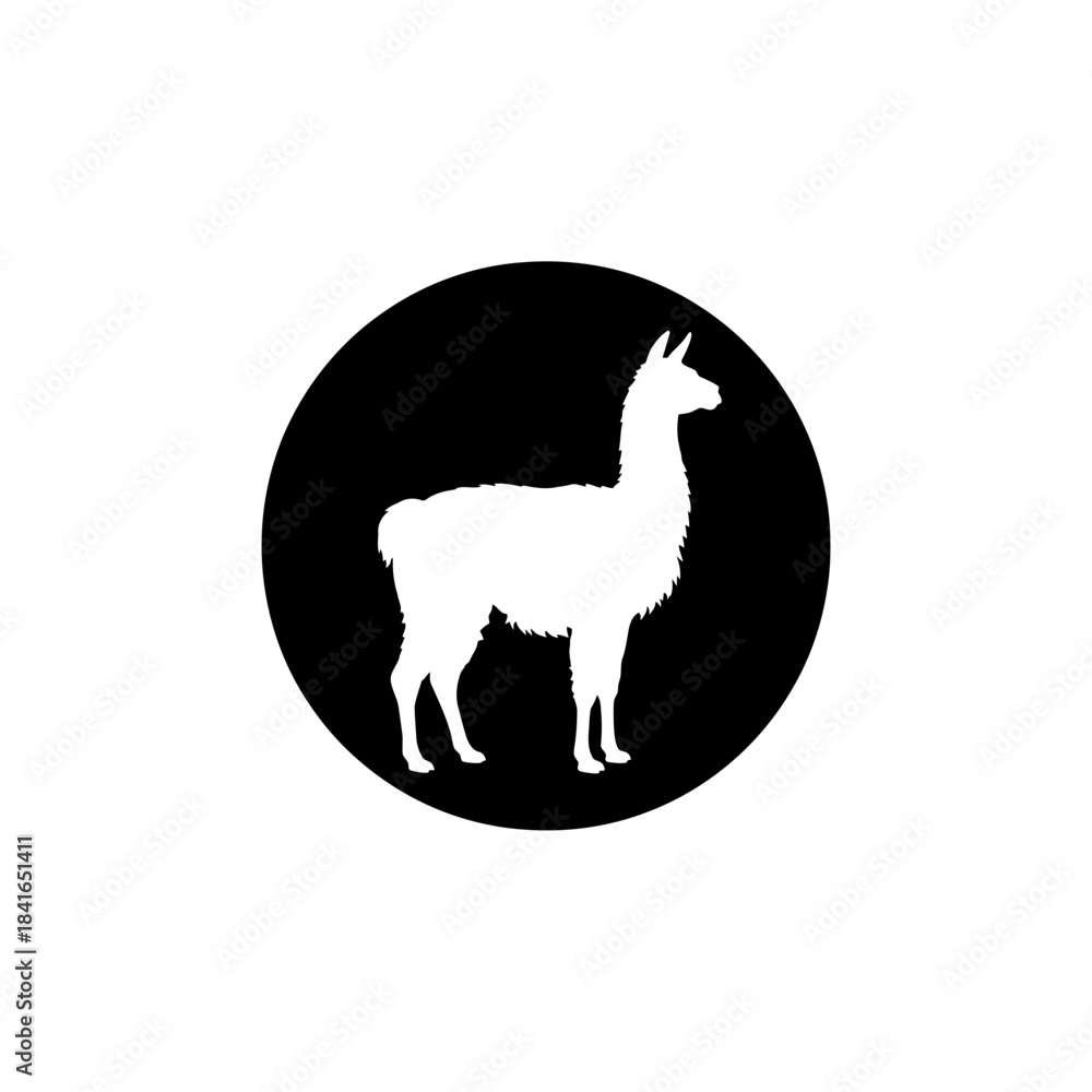 Obraz premium Llama silhouette reflection gap symmetry vector illustration