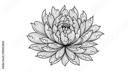 Intricate floral design illustration with swirling patterns and elegant details perfect for