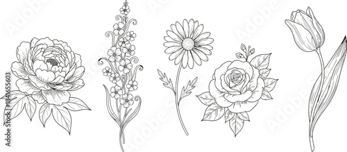 PrintElegant Botanical Line Art Set, Hand-Drawn Peony, Delphinium, Daisy, Rose, and Tulip Collection, Minimalist Floral Engraving Style Vector Illustration, Black and White.