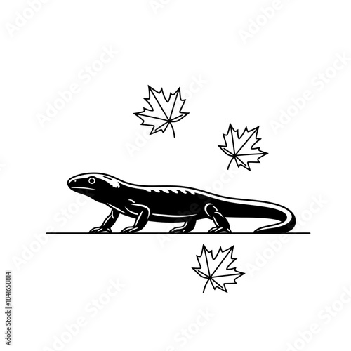 Salamander silhouette with three floating maple leaves vector illustration