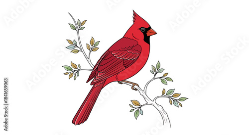 Elegant illustration of a cardinal bird perched on a branch with delicate leaves displaying