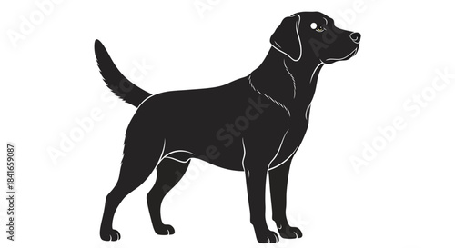 Elegant labrador silhouette vector design standing gracefully in profile view on a plain background
