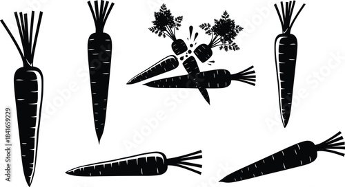 Carrot silhouette set, vegetable icons, black vector, flat design, CAD drawing, leafy tops, sliced shapes, food illustration, kitchen element