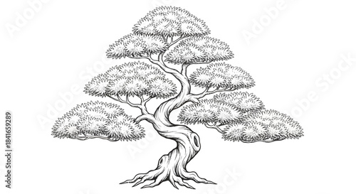 Elegant sketch of a stylized bonsai tree, showcasing nature's beauty through line art rendering