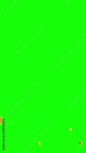 Exploding golden coins transparent background with green screen and alpha matte. 3d animation in 4k quality.