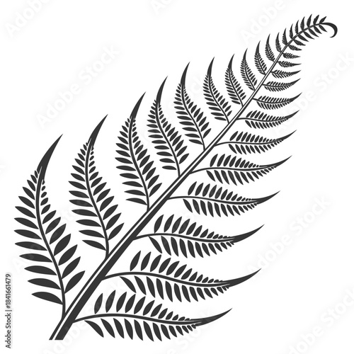 Stylized black fern frond illustration