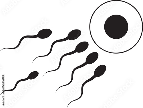 Sperm cells approaching an egg for fertilization process