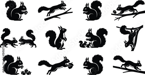 Squirrel silhouettes, animal poses, black icons, wildlife behavior, climbing, eating, jumping, vector illustration, forest creatures, playful movement, nature, rodentsSquirrel silhouettes