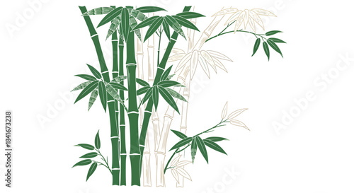 Elegant Bamboo Stalks and Foliage Illustration Revealing Serenity and Nature's Balance