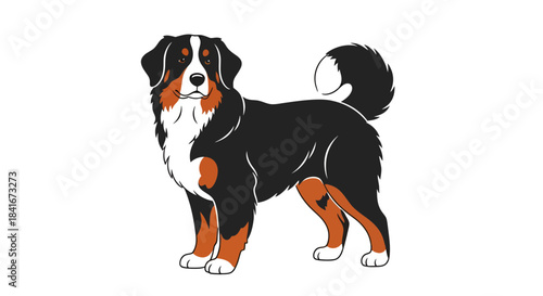 Elegant Bernese Mountain Dog Illustration with Smooth Lines and Distinct Colors Design