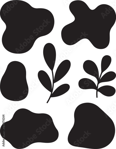 Black and white abstract nature pattern elements