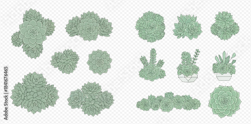 Set of various green succulent plants and bushes from top view for landscape design.