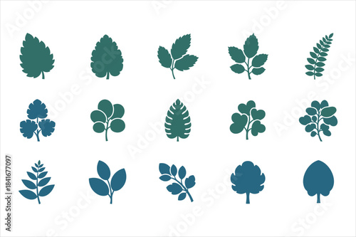 Collection of various blue and green leaf silhouettes isolated on white background