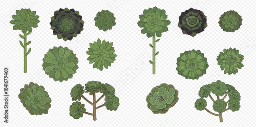 Top view of various green plants and trees for architectural landscape design.