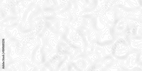 Minimal area white line geometric grid topo map outline. paper curve counter map and wavy topography. relief discovery area white, black line texture background.
