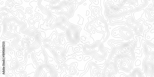 Minimal area white line geometric grid topo map outline. paper curve counter map and wavy topography. relief discovery area white, black line texture background.