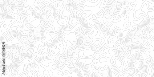 Minimal area white line geometric grid topo map outline. paper curve counter map and wavy topography. relief discovery area white, black line texture background.