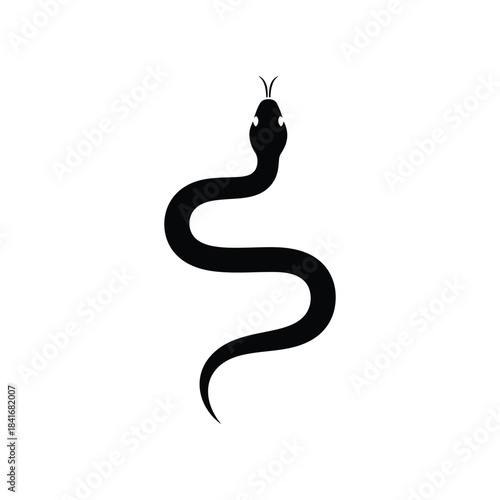 A snake animal silhouette vector art illustration