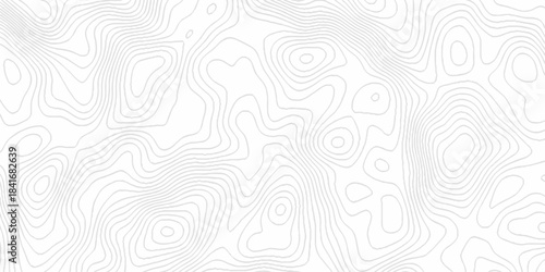 White topography topology vector white background fresh contour map texture. white seamless pattern Abstract background with a wave Topography and geography map grid abstract backdrop.