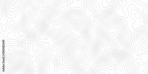 White topography topology vector white background fresh contour map texture. white seamless pattern Abstract background with a wave Topography and geography map grid abstract backdrop.