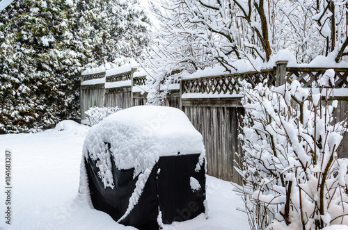 Heavy snowfall covering bare tree branches, wooden fencing, and a covered barbecue with a on a winter day.