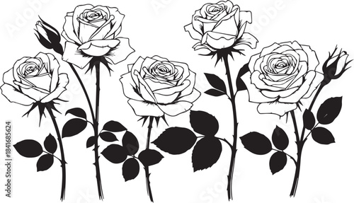Elegant monochrome floral arrangement of roses in a vintage engraved style