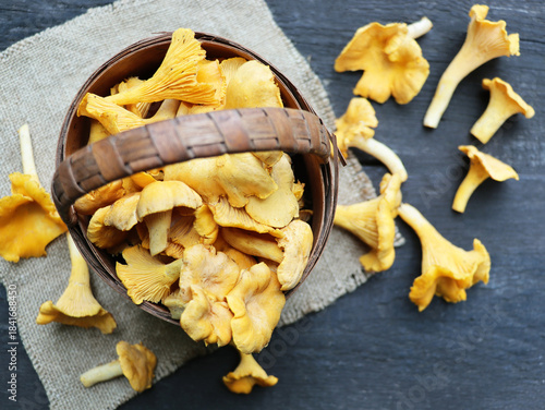 Raw wild chanterelles mushrooms in basket