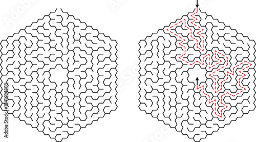 Hexagonal Maze With Solution Path And Arrows labyrinth puzzle