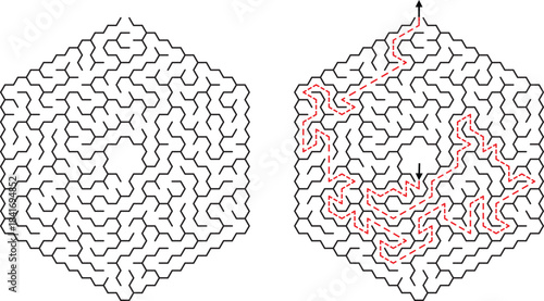 Hexagonal Maze With Solution Path And Arrows labyrinth puzzle