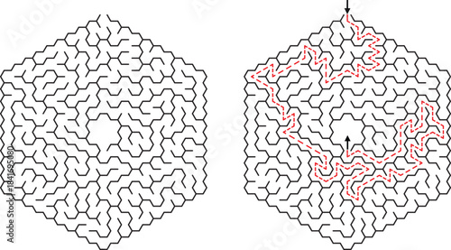 Hexagonal Maze With Solution Path And Arrows labyrinth puzzle