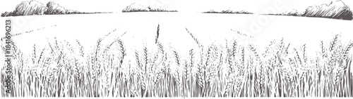 Black and white style wheat field with distant mountains