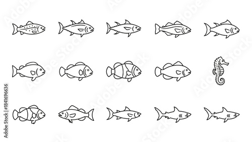 Outlined fish collection diverse marine life illustrations for design and education